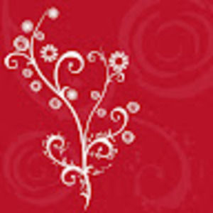 Meet your Posher, Mitzi